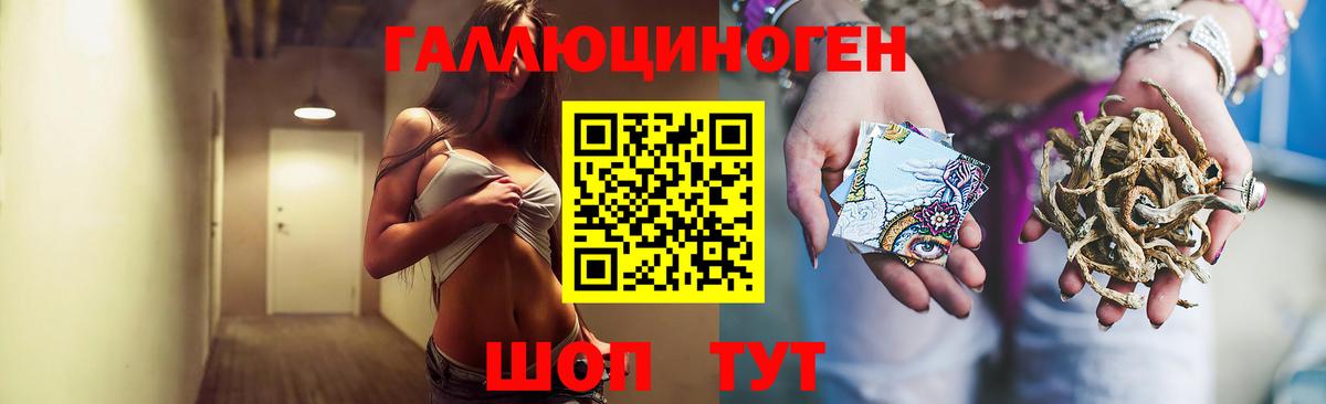 купить наркотики сайты  Галлюциногенные грибы ЛСД  Гатчина  Вход с VPN  Галлюциногенные грибы прущие грибы 